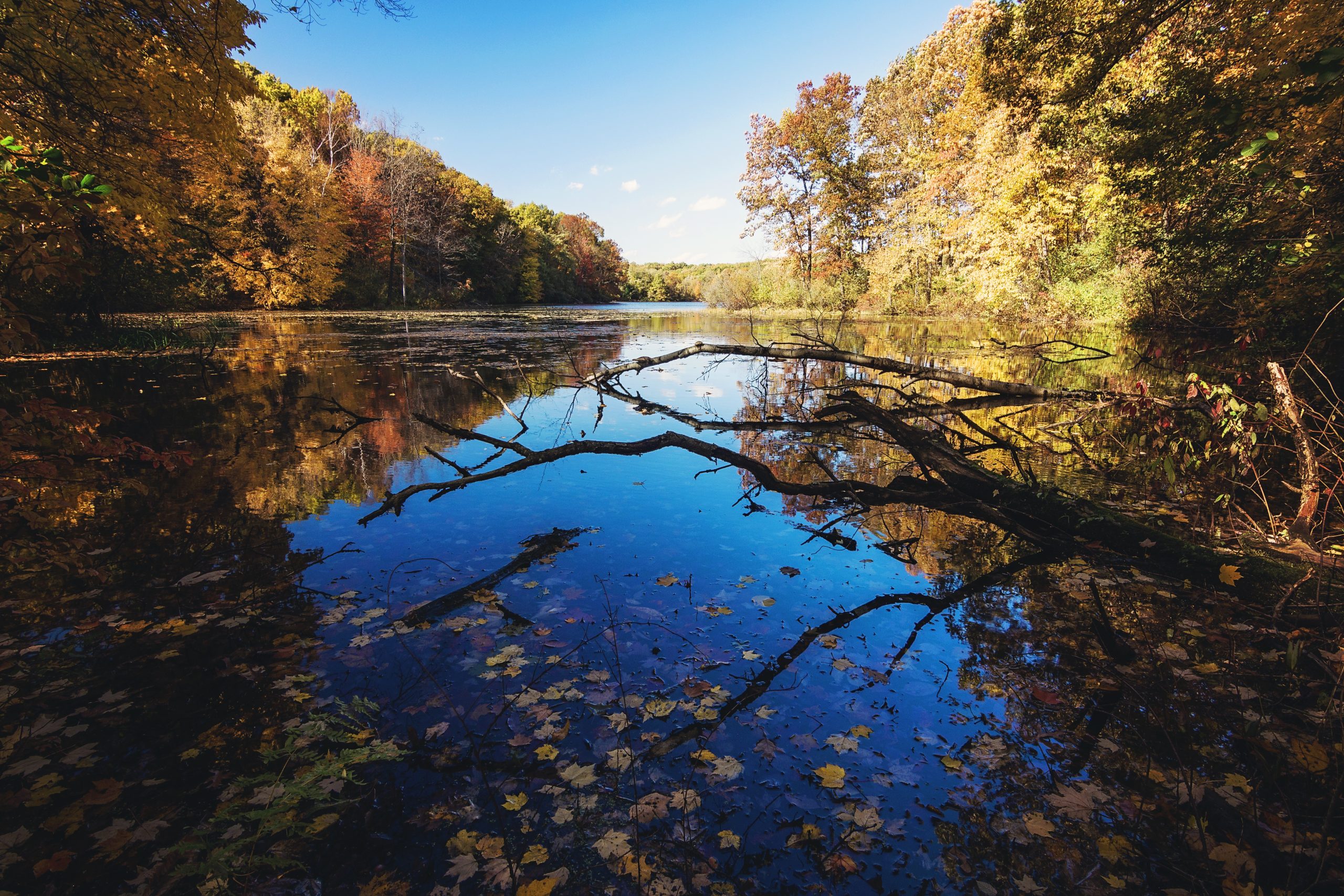 Holly State Recreation Area Wildwood & Valley Lake Loop Trail